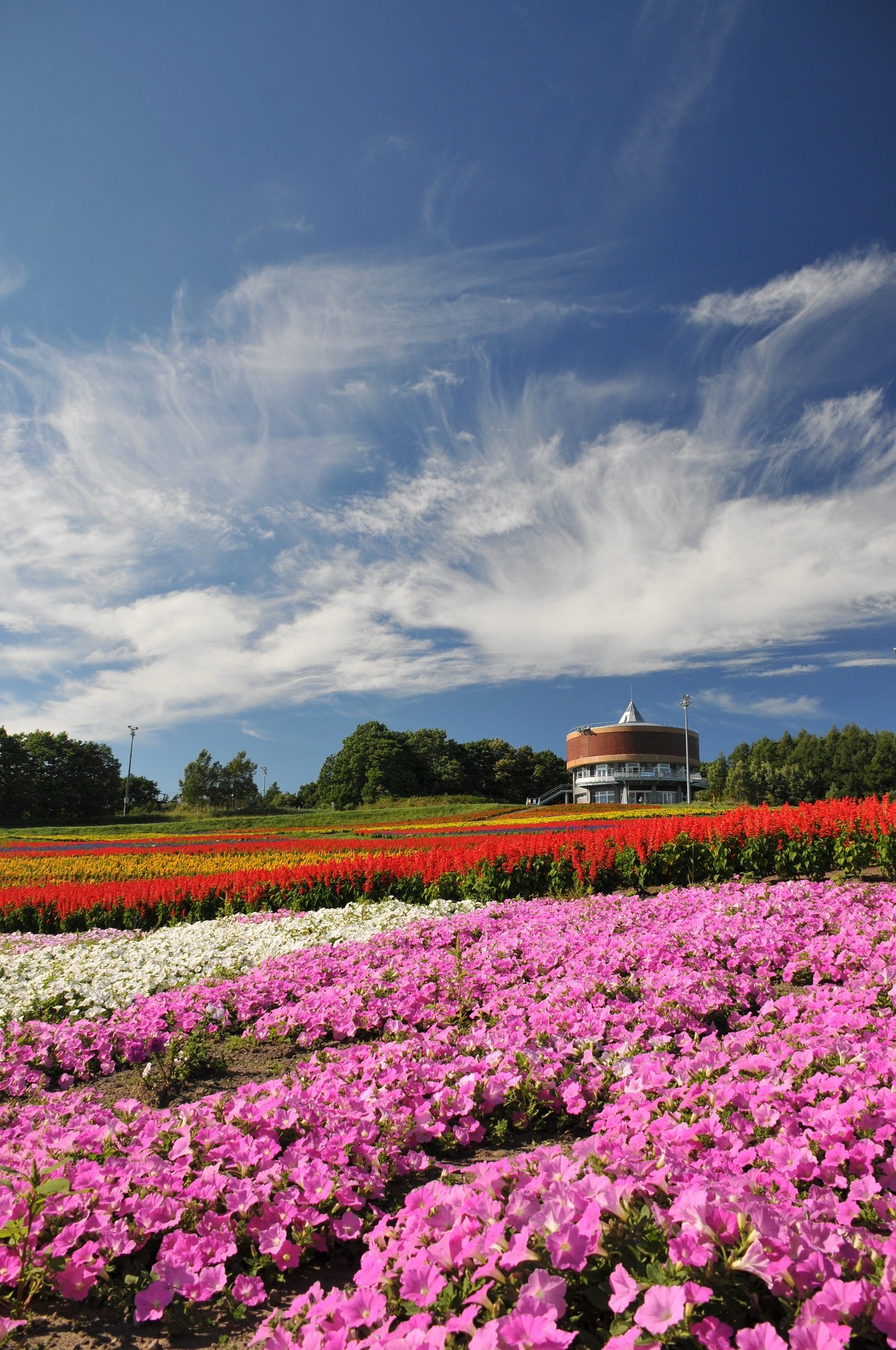 🌸 꽃 정원 하나텐토 (플라워가든 하나텐토) 이미지 1